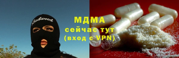 СК Бородино
