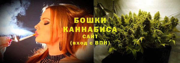 ГАЛЛЮЦИНОГЕННЫЕ ГРИБЫ Покачи