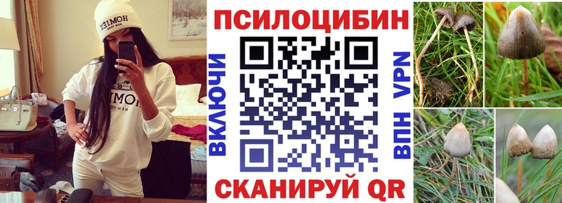 Галлюциногенные грибы Cubensis  хочу наркоту  дарк нет клад  Вилюйск  blacksprut tor 